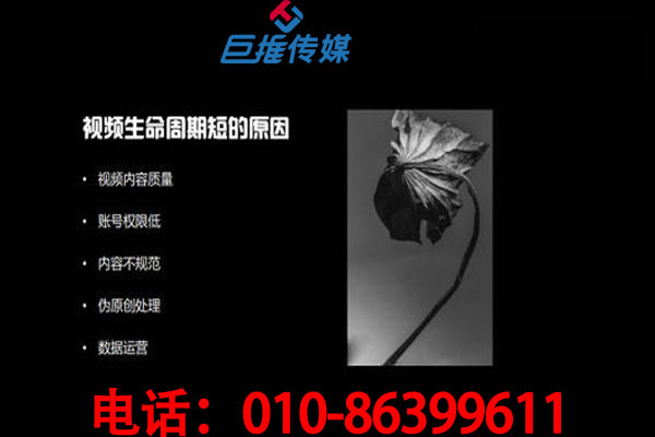 尋找北京市短視頻代運(yùn)營(yíng)公司需要多少錢？